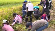飢えに苦しむ外国の子供たちに食べてもらおう 児童が「支援米」の稲刈り【岡山・津山市】