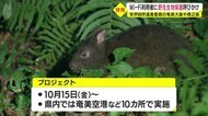 Wi-Fi接続時にメッセージ 野生生物保護呼びかけプロジェクト 奄美空港などで実施