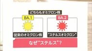 オミクロン株さらに変異 イギリス保健当局が調査 “ステルスオミクロン株”とは?