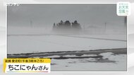 【お天気図鑑】なぜ？雪の上だけ霧？(滋賀・愛荘町)