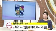 J3第19節 テゲバジャーロ宮崎vsいわてグルージャ盛岡 宮崎県