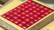 甘い！　ハウスサクランボの出荷始まる 　天気に恵まれ良い仕上…