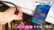 【スマート農業】AIで牛の健康管理から出産予測まで！宮崎大学の挑戦と日南のマンゴー農家が導入した土壌センサー。デジタル技術が繋ぐ“稼げる農業”の未来
