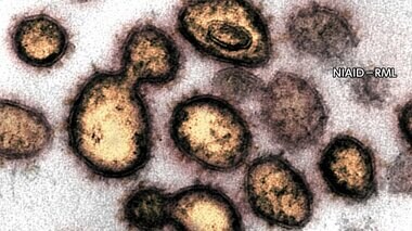 【速報】新型コロナ 神奈川県で3412人の感染確認 過去最多