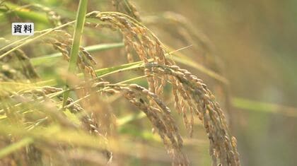 「JAグループとして安定したコメ生産・供給体制の維持に取り組む」来年度のコメ生産量18万2000トン余り目安に　長野県