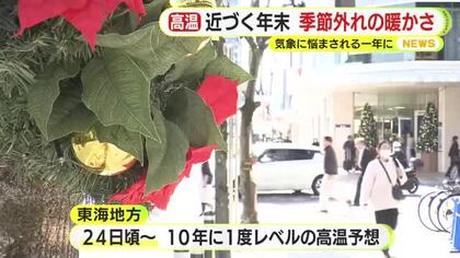 年末近づくも季節外れの暖かさ　スキー場はゲレンデのオープンを延期　クリスマスを前にイチゴは収穫に遅れ「出したくても出せない」　気象に悩まされる1年に
