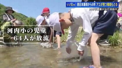 西日本豪雨でアユが消えた川　コケや水辺のヨシが生え、6年かけて“アユが育つ環境”戻る【広島発】