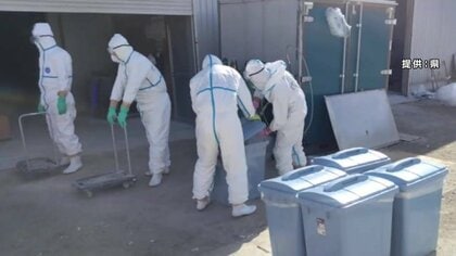 高病原性鳥インフル確認の養鶏場、23％・13万羽余りの殺処分終了　1つの養鶏場としては岩手県内過去最多約56万羽の殺処分へ