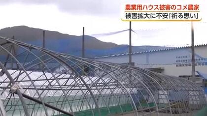 「こんなひどい被害は経験したことない」春の嵐で農業用ハウス被害　南砺市のコメ農家が育苗の行方に懸念