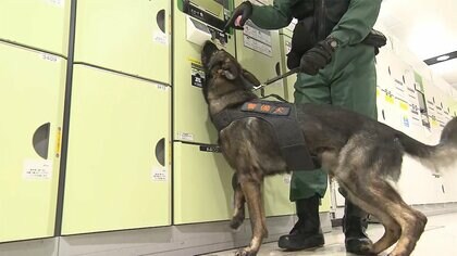 安倍元首相「国葬」まで1週間　都内で“警備強化”始まる　警備犬が不審物探索