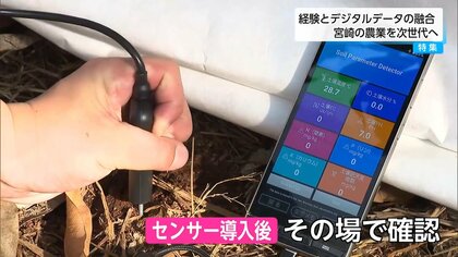 【スマート農業】AIで牛の健康管理から出産予測まで！宮崎大学の挑戦と日南のマンゴー農家が導入した土壌センサー。デジタル技術が繋ぐ“稼げる農業”の未来