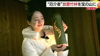 【TSK×JAL】森の“厄介者”の竹を観光資源に…とっとり花回廊「イルミネーション」に新たな輝きの場
