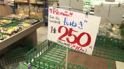 北海道は4月並みの暖かさから真冬の寒さに 気温の乱高下が“野菜の価格”にも影響 ネギやダイコンは高めだが 葉物野菜は“お買い得”