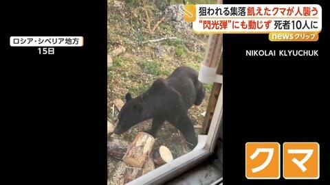 クマが住民襲う被害続発　「武器がない」人を恐れず戻ってくるクマと対峙　死者10人との報道も　ロシア