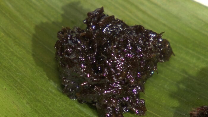 佃煮『ぎばさ味噌』