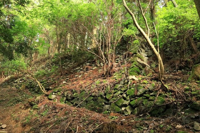 堀底道の片側