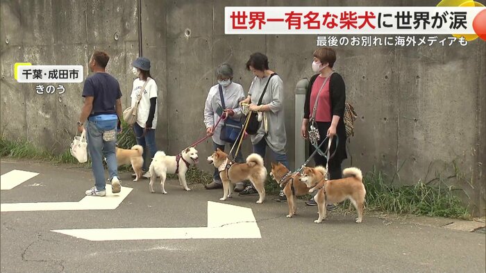 お別れの会には犬連れの人の姿も