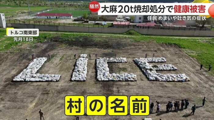 村の名前の形に並べられた大量の大麻(IHA)