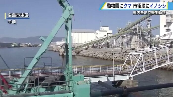 広島市中区の海沿いにある工場