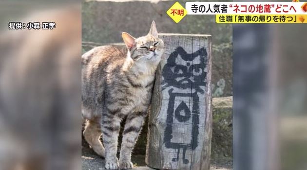 修行僧ネコにも親しまれていた