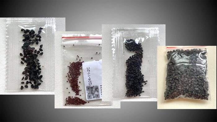 【独自】「種」に続き今度は謎の「指輪」...送り主を直撃 もし届いたらどうすれば?
