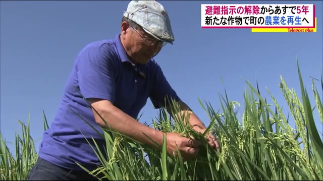 原発事故避難で荒れてしまった故郷 避難指示解除から5年…町の基幹産業・”農業”再生へ<福島県楢葉町>