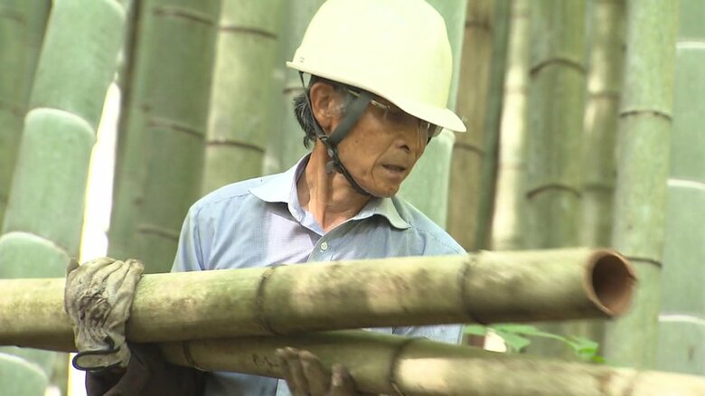 老いを楽しみながら森林保全 “増え過ぎた竹”を有効活用するシニアボランティア　自然学ぶ子どもたちの体験の場にも｜FNNプライムオンライン