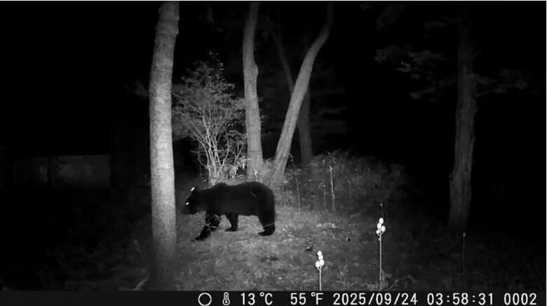 【ヒグマ速報】1日2度…また出没「車と玄関の間にクマがいる」住民が2階の窓から目撃→体長約50センチの”子グマ”か―24日には現場近くの寺の防犯カメラに”黒い影”〈北海道松前町〉｜FNNプライムオンライン