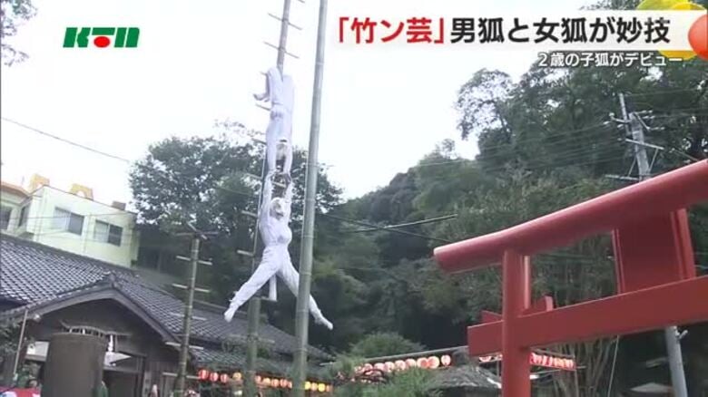 白狐が高さ12ｍの竹の上で妙技を繰り広げる「竹ン芸」　五穀豊穣や商売繁盛を願う｜FNNプライムオンライン