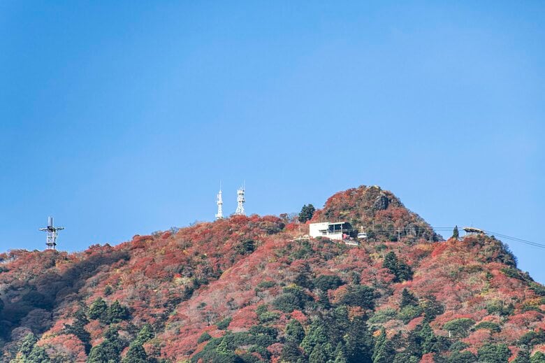 “紅葉見頃前線”南下でいよいよ関東も色鮮やかに… 各都県の市街地・山の見頃はそれぞれいつ?|FNNプライムオンライン
