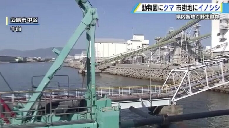 広島市中区の海沿いにある工場