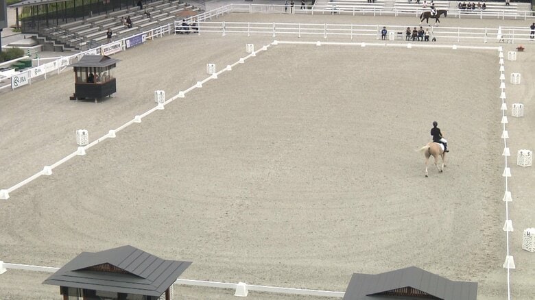 馬場馬術のジュニア全国大会