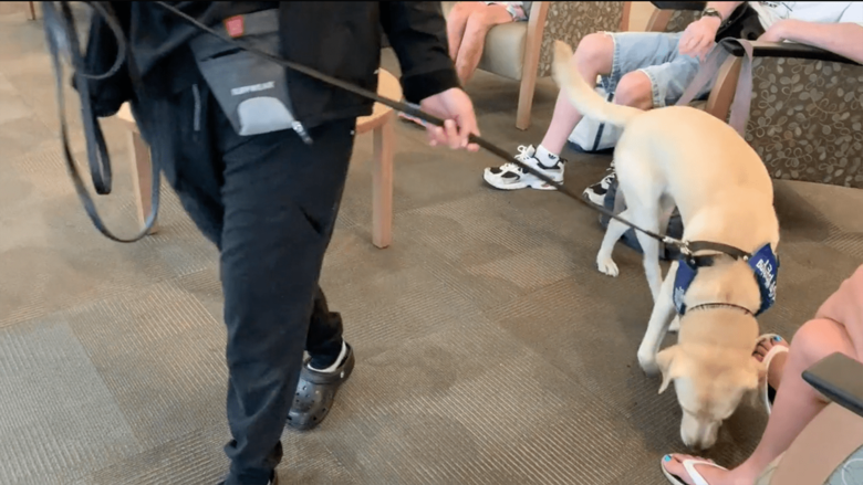 任務中、訪問者のにおいを嗅ぎ分ける様子