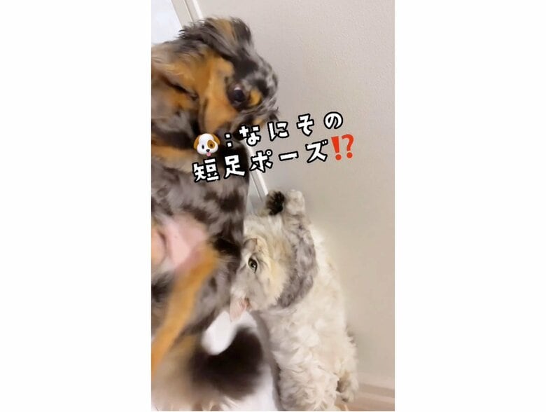 提供：チワックスの諭吉くん。さん