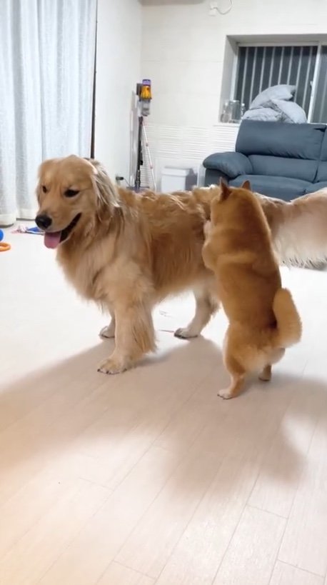 提供：うにandおからさん