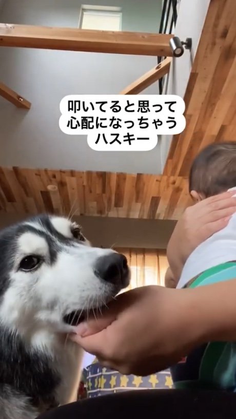提供：akariさん