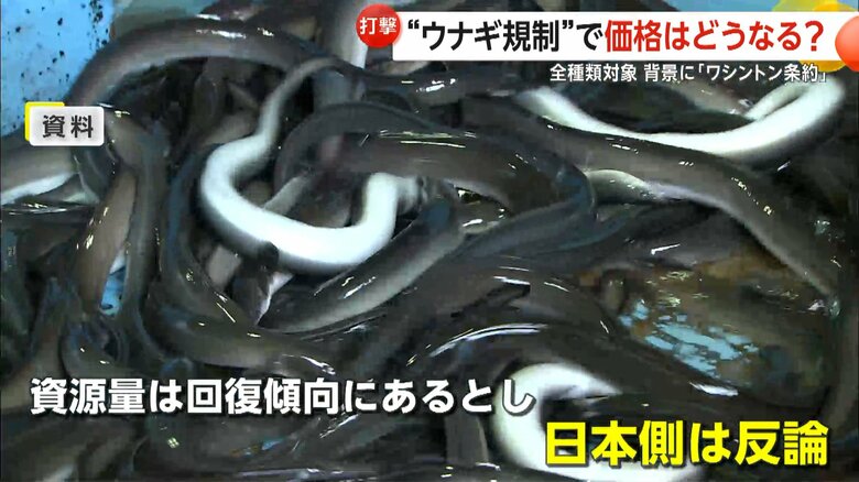 ニホンウナギの資源量は回復傾向にあると反論した日本側