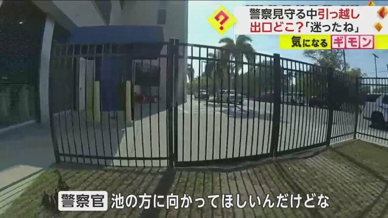 警察官に見守られて公園の池を目指すカモの親子の引っ越しシーン一連画像⑥