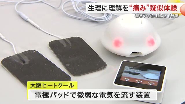 研修に使用されたピリオノイド