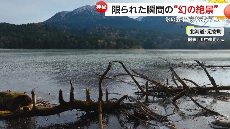 冬の時期でもなかなか見ることができない貴重な光景