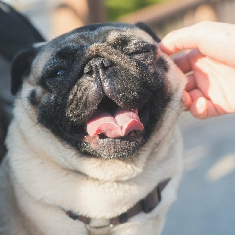 みんなに普段から可愛がられている