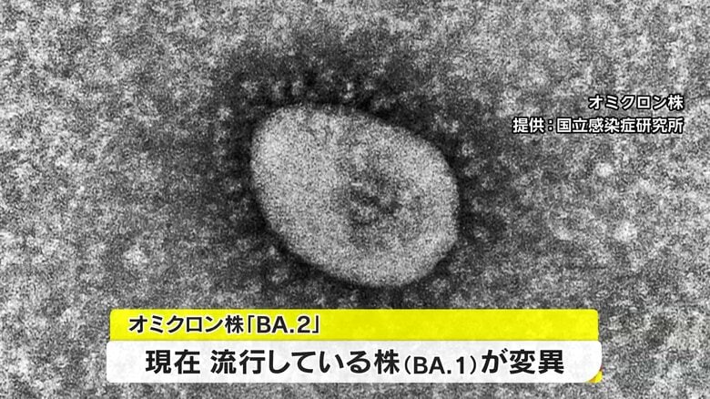 東京や大阪などでは市中感染も確認された「BA.2」