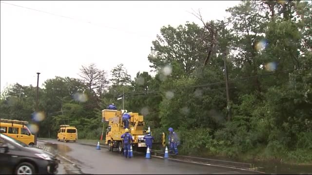 9月25日 低気圧の影響で福島県は荒れた天気に いわき市では強風で倒木 一時停電も発生