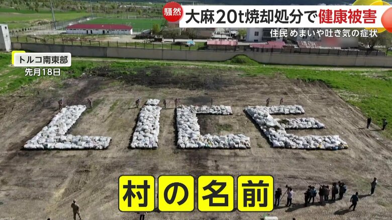 村の名前の形に並べられた大量の大麻（IHA）