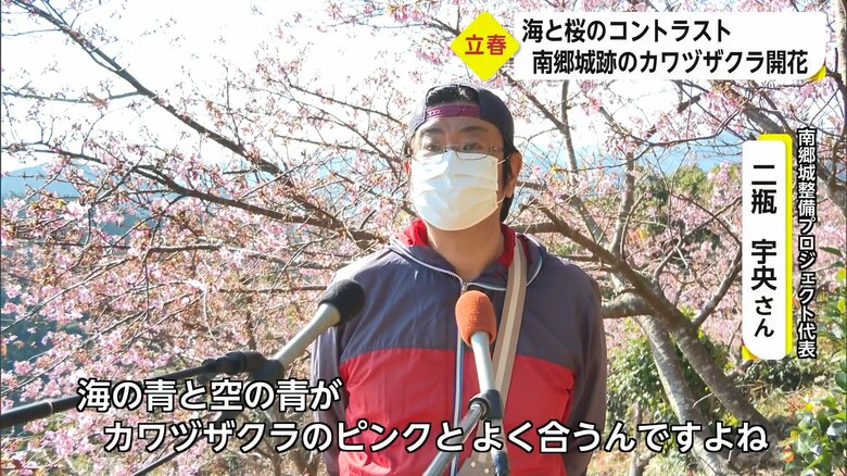 カワヅザクラを楽しんでほしいと語る二瓶宇央さん