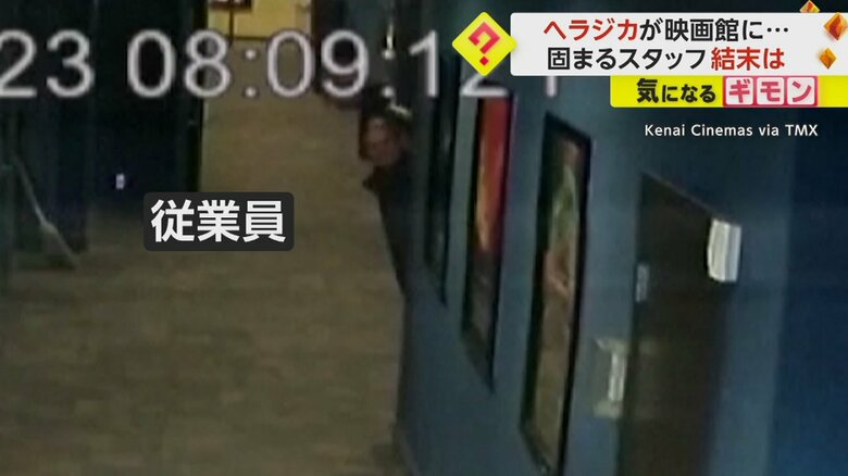 ヘラジカから距離を取り、陰からのぞく従業員の男性