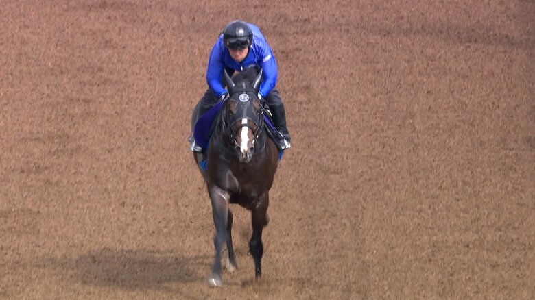最終追い切りを行うソウルラッシュ