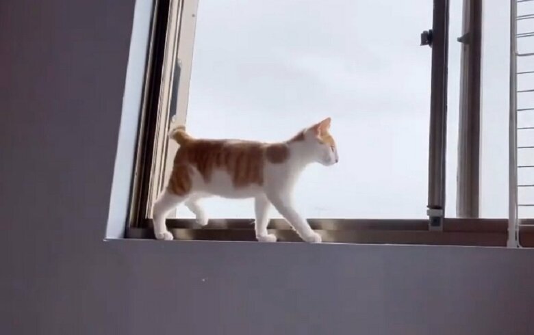 余裕そうなUターンをすでに披露していた