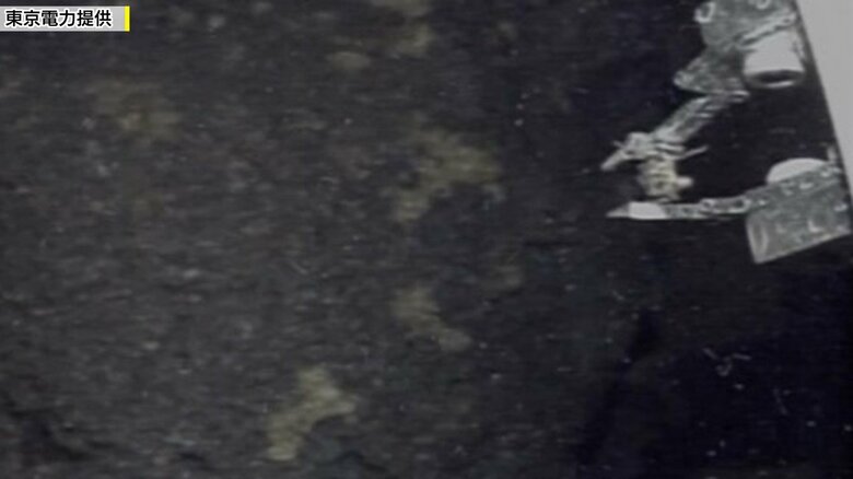 ロボットがデブリをつかむ（提供：東京電力）