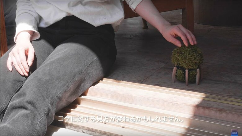 ペットのような存在になれるかもしれない